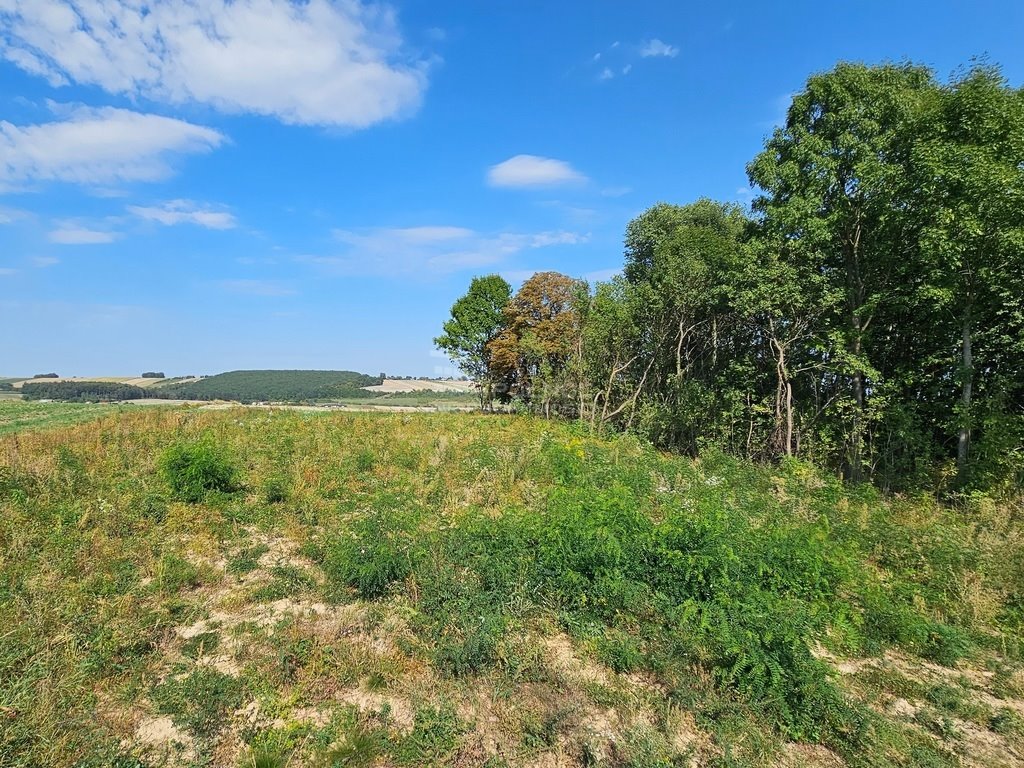 Działka rolna na sprzedaż Racławice  11 100m2 Foto 5