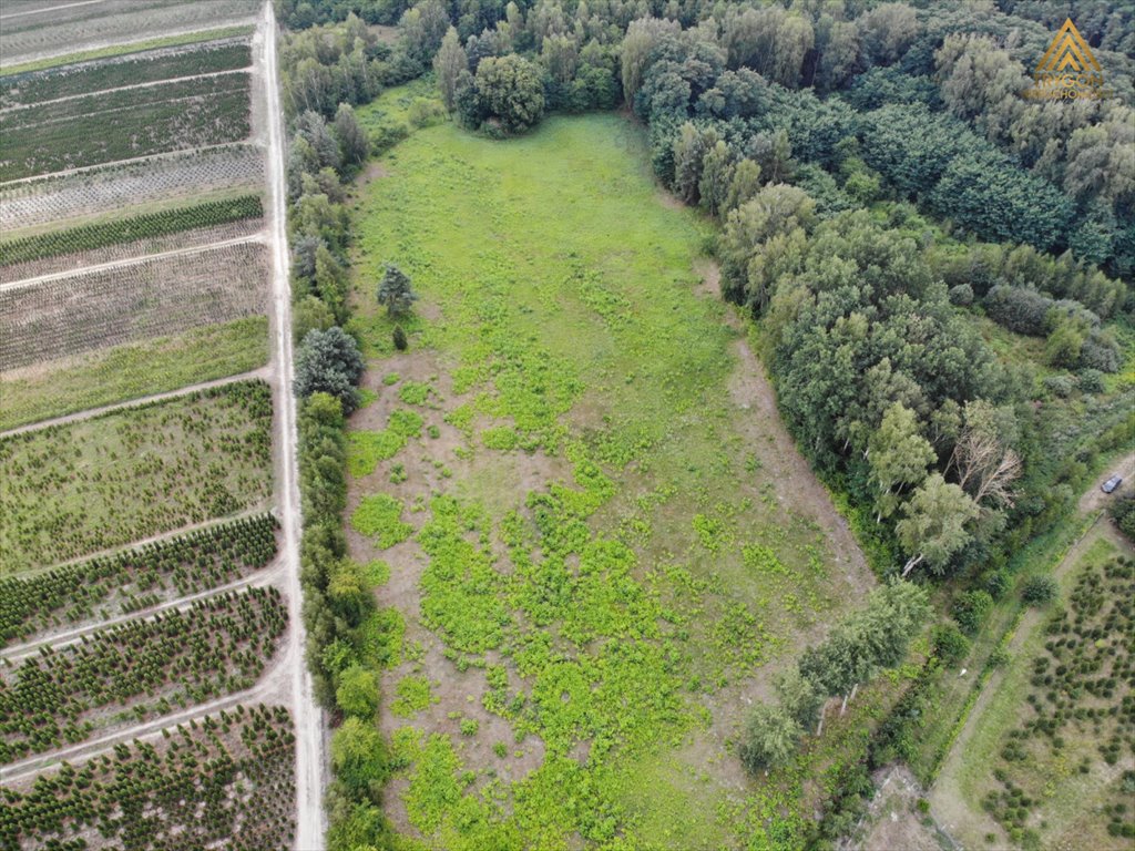 Działka rolna na sprzedaż Gąba  17 400m2 Foto 1