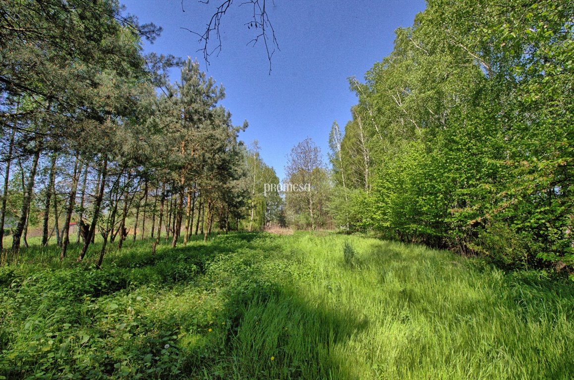 Dom na sprzedaż Śliwice, Aleja Dębowa  250m2 Foto 3