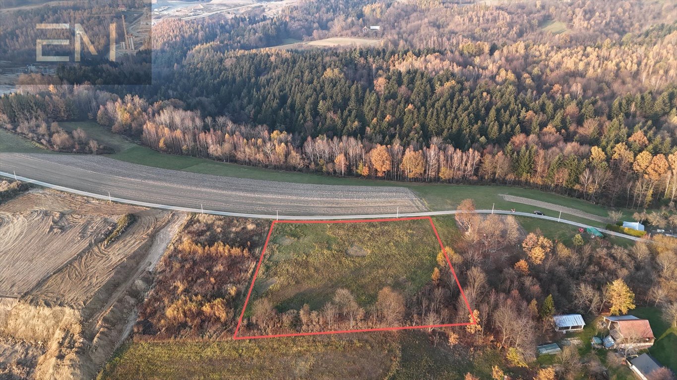 Działka budowlana na sprzedaż Żarnowa  5 000m2 Foto 7