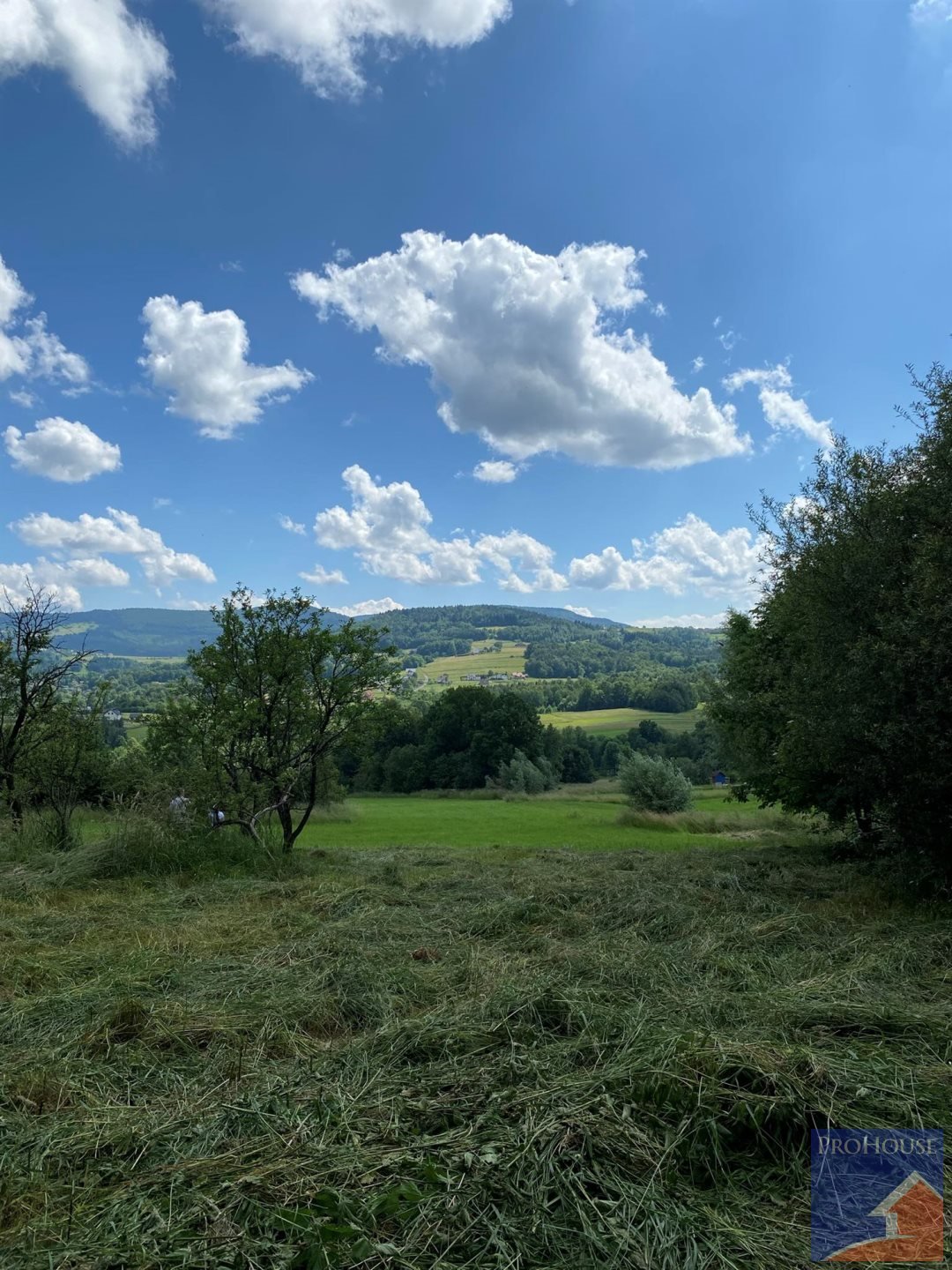 Dom na sprzedaż Stara Wieś  100m2 Foto 4