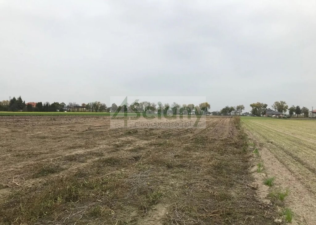 Działka inwestycyjna 57 400 m² z mediami - polecam Płochocin  57 400m2 Foto 1