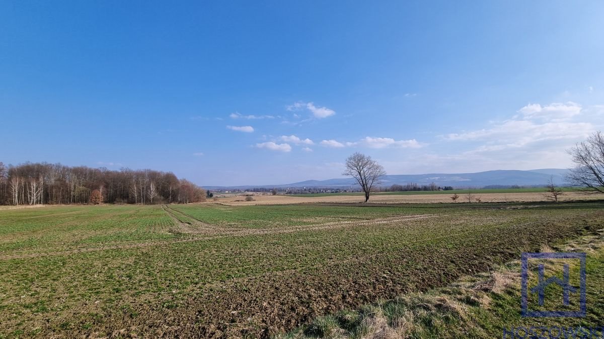 Działka rolna na sprzedaż Giebułtów, Wola Augustowska  12 200m2 Foto 1