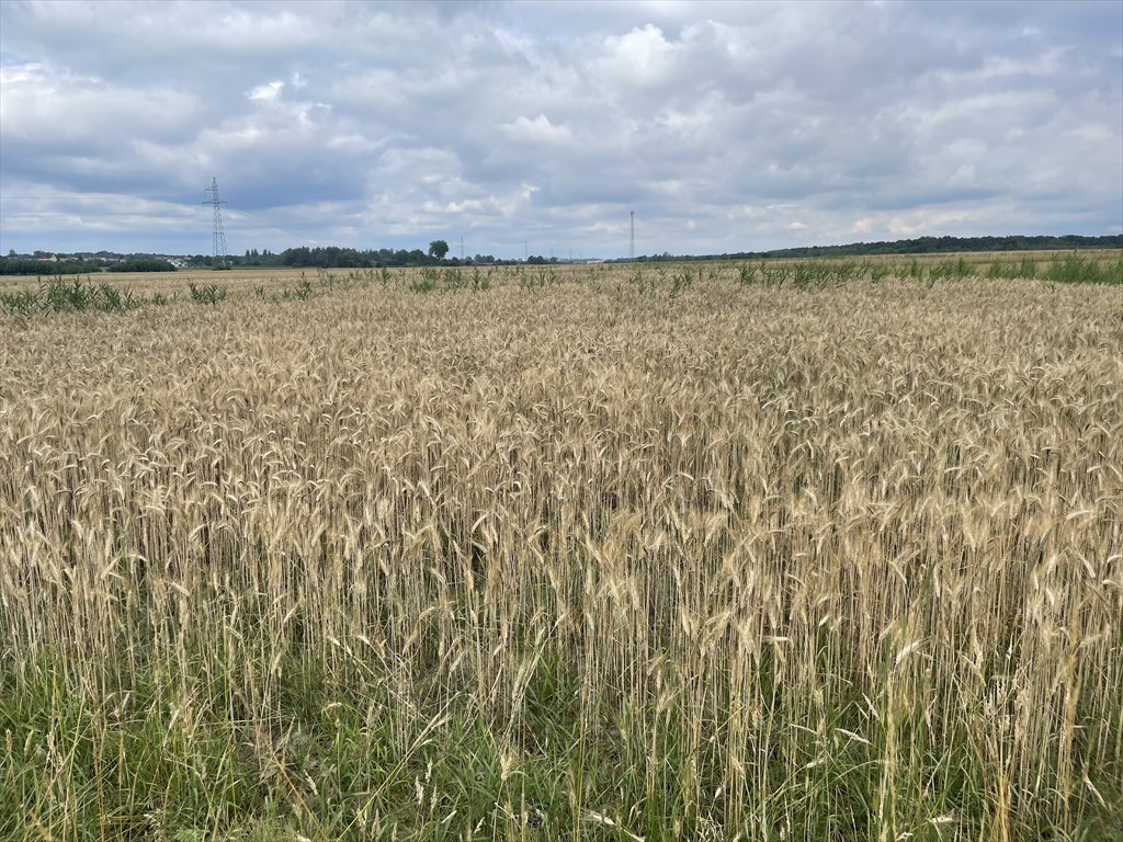 Urokliwa działka 2 470 m² z widokiem na pola, media, odrolnienie Strzebiń, Kosmonautów  2 470m2 Foto 1