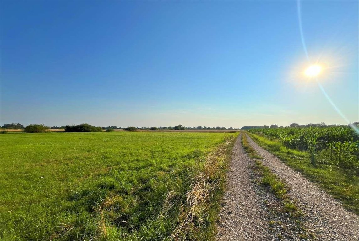 Działka 1900 m² z dostępem do drogi w Żabcuie Żabiec  1 900m2 Foto 1