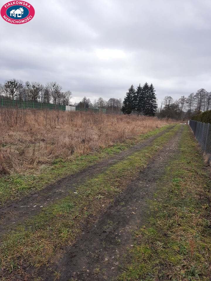 Działka budowlana na sprzedaż Łubno  1 000m2 Foto 5