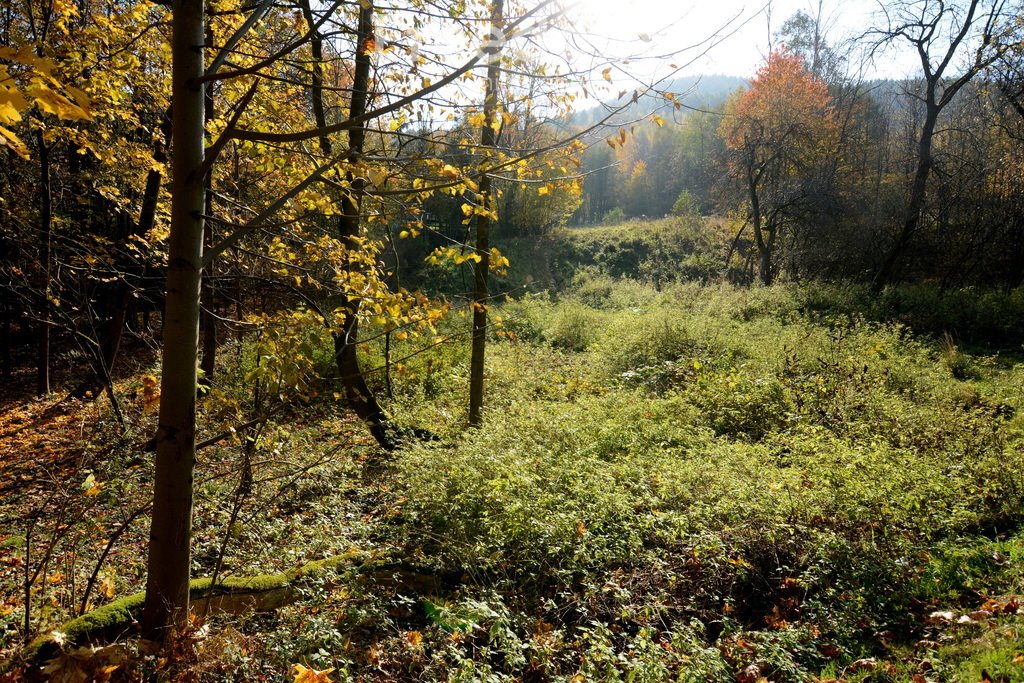 Działka budowlana na sprzedaż Ponikiew  2 846m2 Foto 8