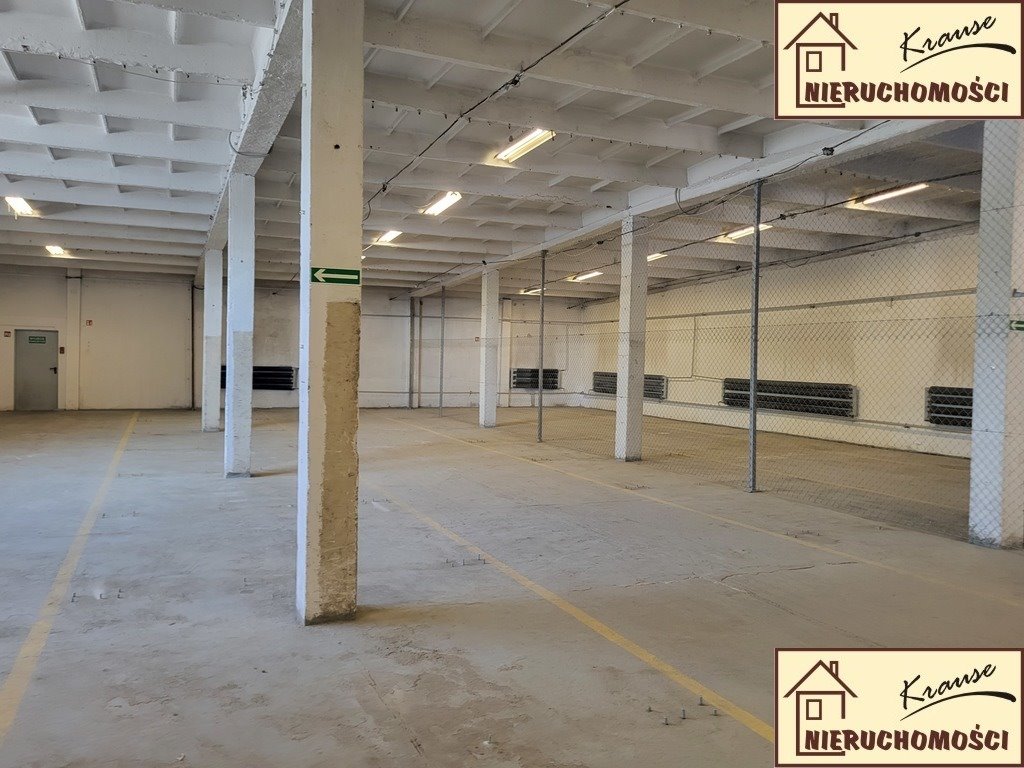 Magazyn na wynajem Poznań, Grunwald  540m2 Foto 5