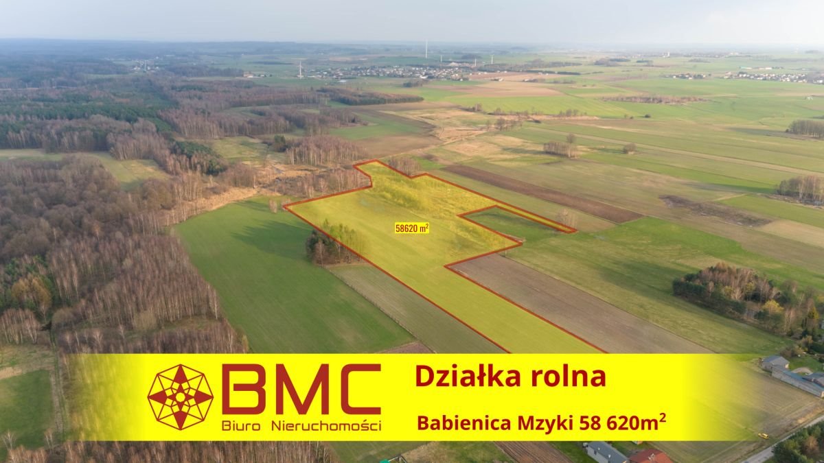 Działka rolna na sprzedaż Babienica, Mzyki  58 362m2 Foto 1