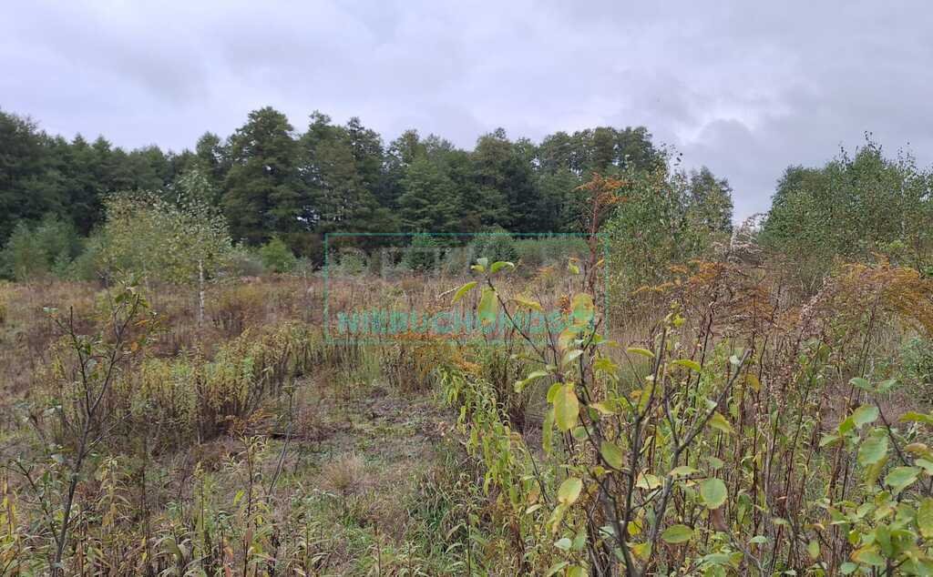 Działka budowlana na sprzedaż Bieganów  37 900m2 Foto 3