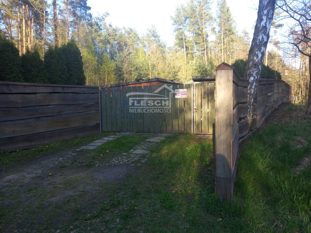 Działka budowlana na sprzedaż Przęsławice  4 500m2 Foto 12