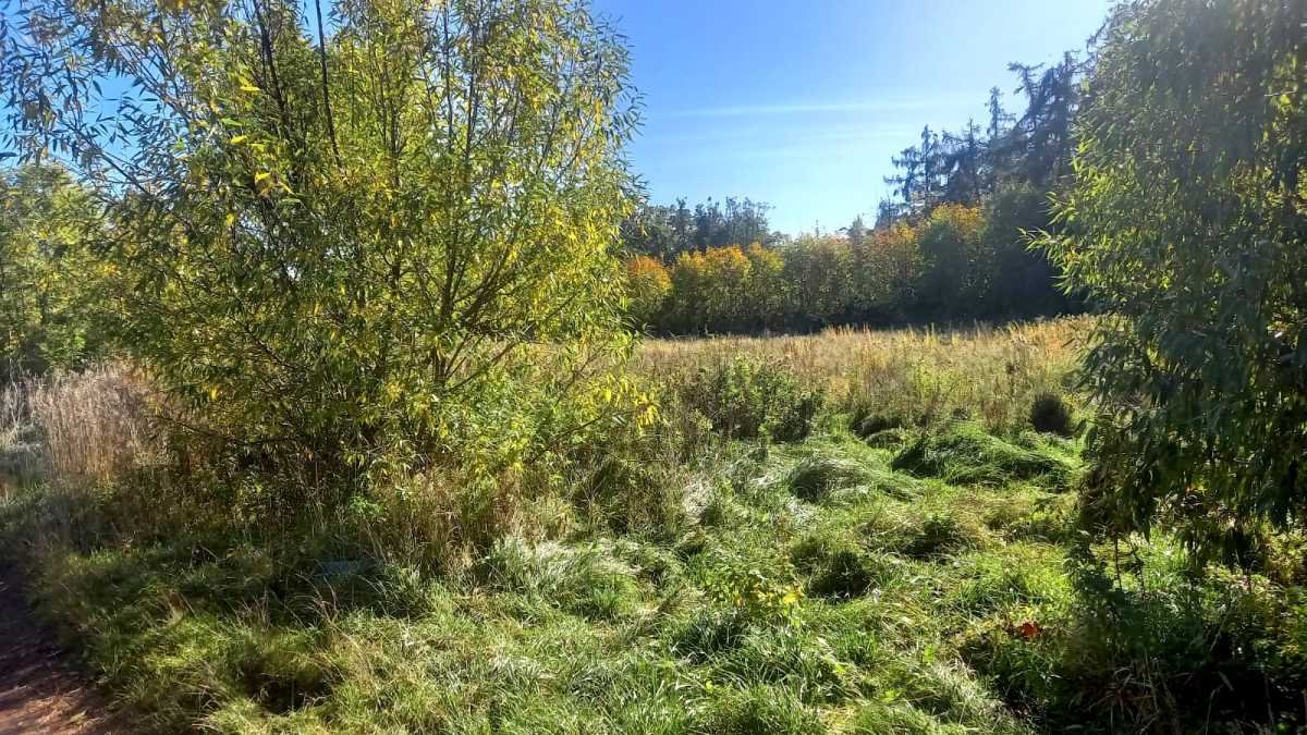 Działka inna na sprzedaż Szczawno-Zdrój  1 600m2 Foto 1