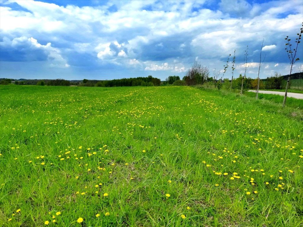 Działka rolna na sprzedaż Jeziorko, Jeziorko  3 018m2 Foto 13