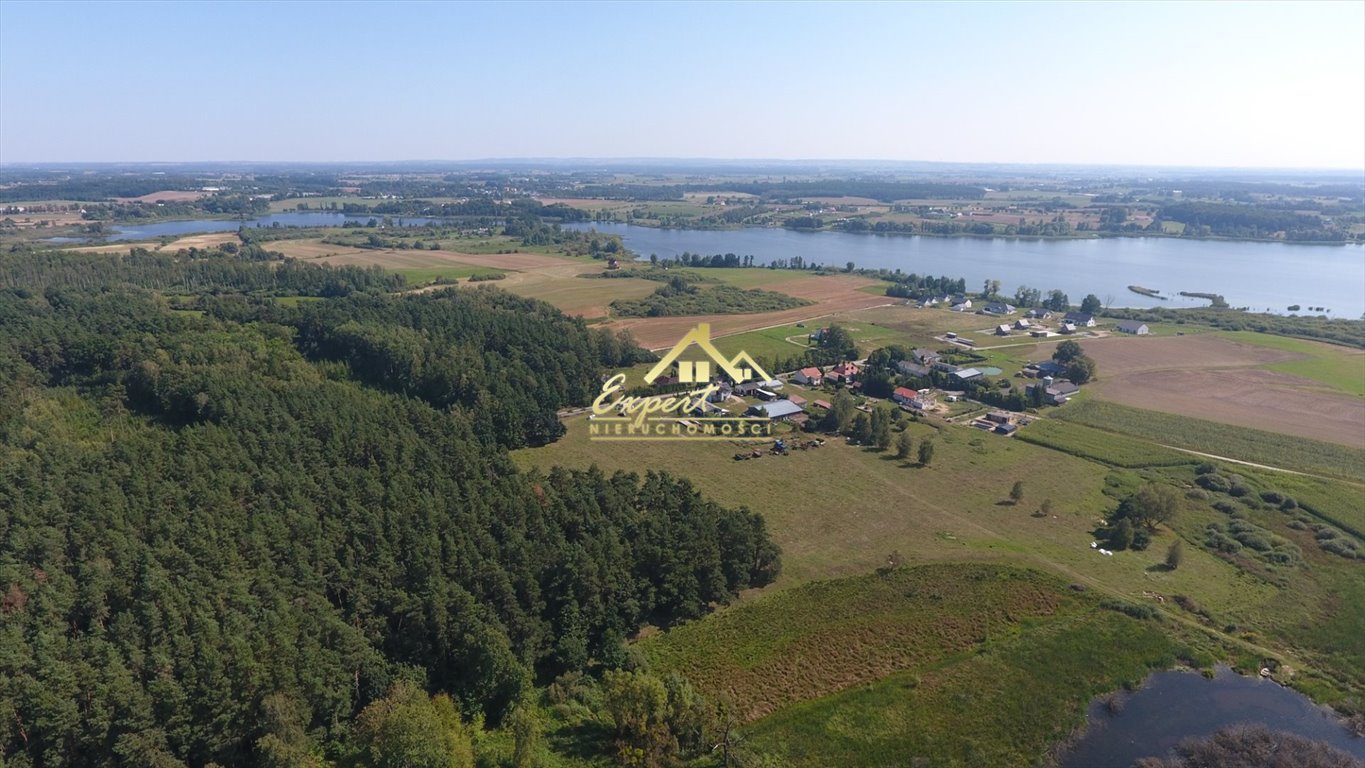 Zdjęcie 3