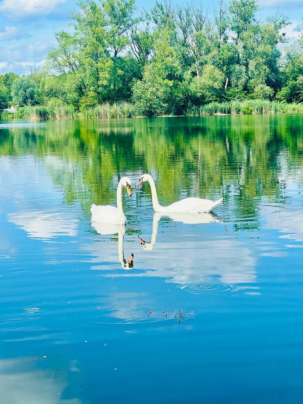 Dom na sprzedaż Olza, Kolejowa  30m2 Foto 2