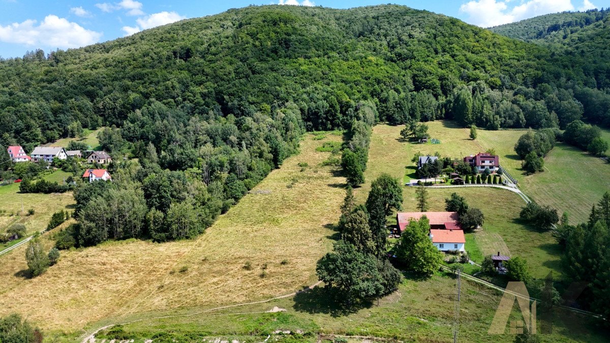 Działka budowlana na sprzedaż Maciejowa  1 000m2 Foto 4