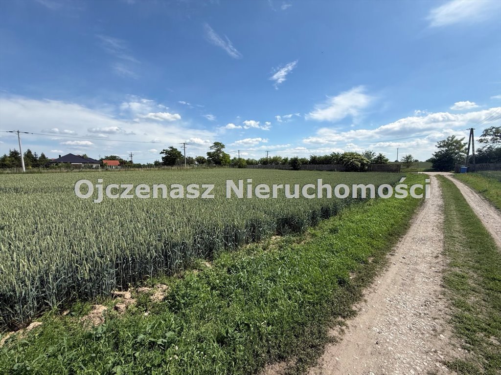 Zdjęcie 3