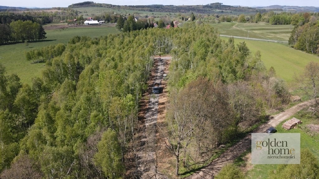 Działka budowlana na sprzedaż Leśna, Świecie  950m2 Foto 7