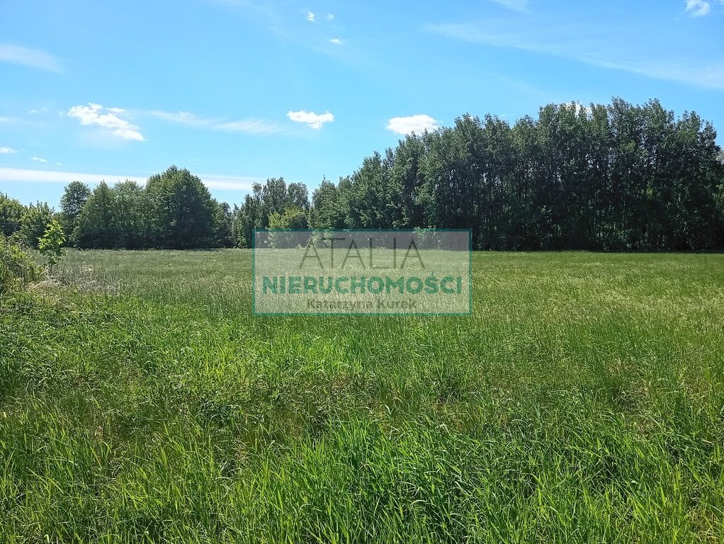 Polecam działkę 3700 m² w Kozery - cicha, płaska, z mediami Kozery  3 700m2 Foto 1