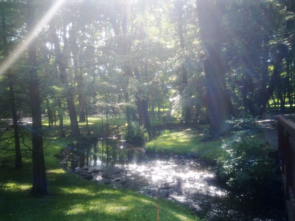 Mieszkanie dwupokojowe na wynajem Poznań, Grunwald, WOJSKOWA  65m2 Foto 17