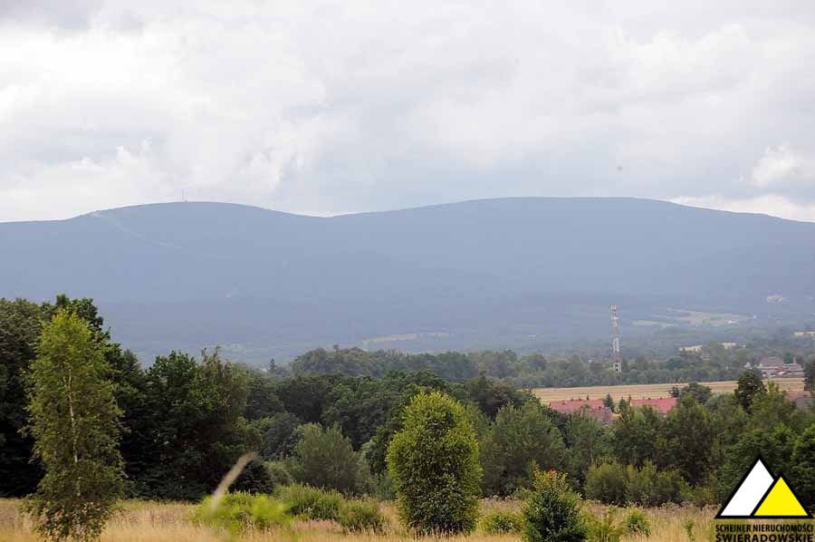 Działka budowlana na sprzedaż Brzeziniec  1 500m2 Foto 11