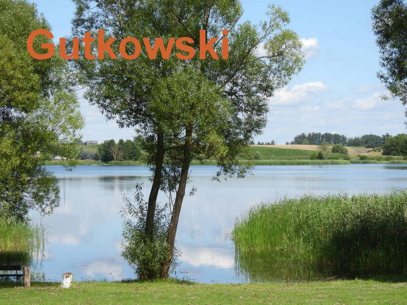 Działka siedliskowa na sprzedaż Dół, Gmina Iława  4 192m2 Foto 2