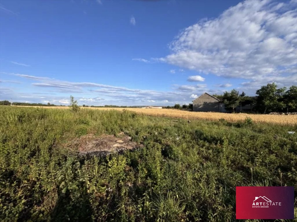 Działka 8 tys. m² z mediami, pod zabudowę i usługi Natolin, Natolin  7 997m2 Foto 1