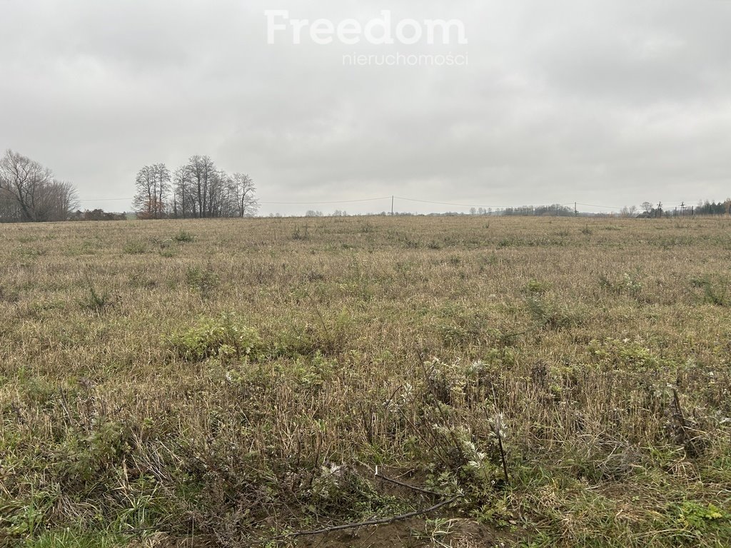 Działka inna na sprzedaż Karbowskie  3 037m2 Foto 9