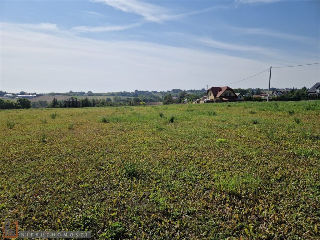 Działka budowlana na sprzedaż Żerkowice  900m2 Foto 5