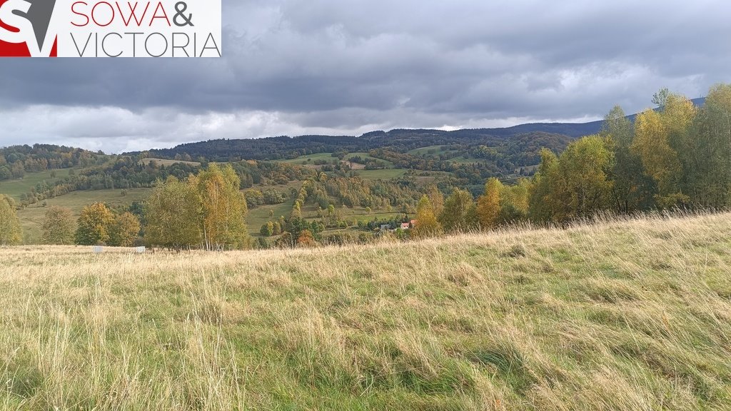 Zapraszam do zakupu działki 1200 m² w Walim, spokojne osiedle Walim  1 200m2 Foto 1