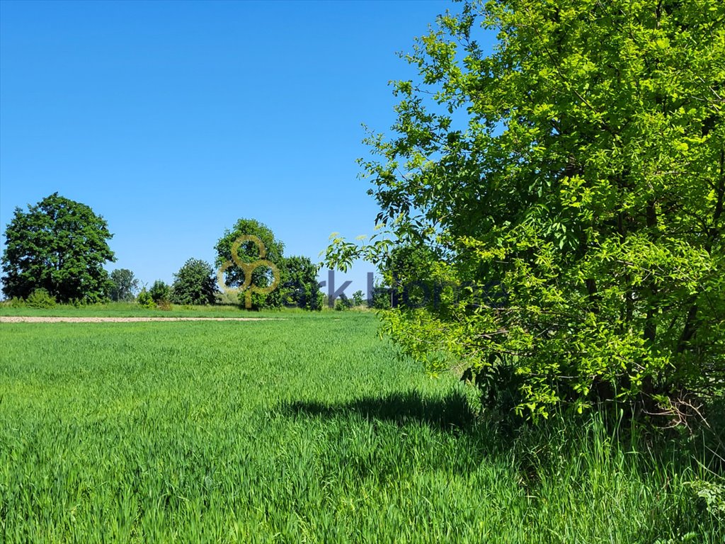 Działka budowlana na sprzedaż Darnowo  1 390m2 Foto 3