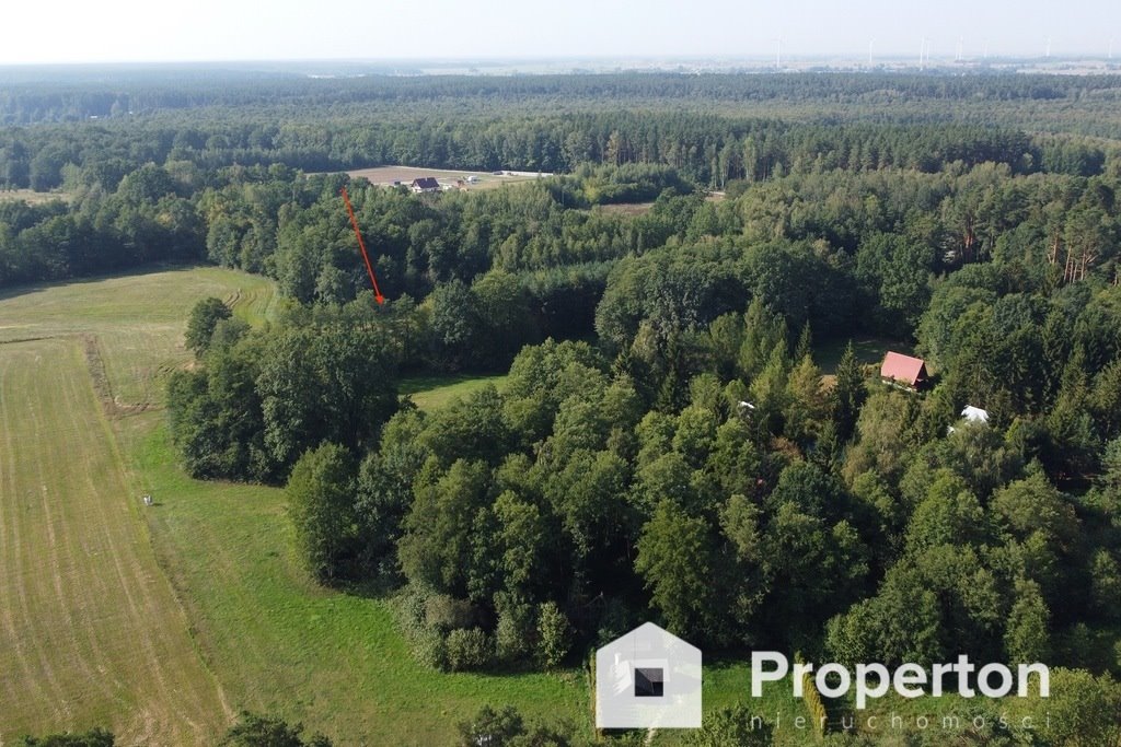 Działka budowlana na sprzedaż Rajgród, Opartowo  12 312m2 Foto 8