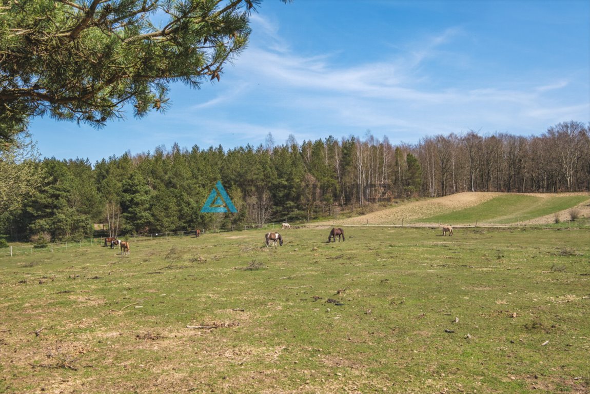 Mieszkanie trzypokojowe na sprzedaż Gdynia, Wielki Kack, Pienińska  67m2 Foto 11