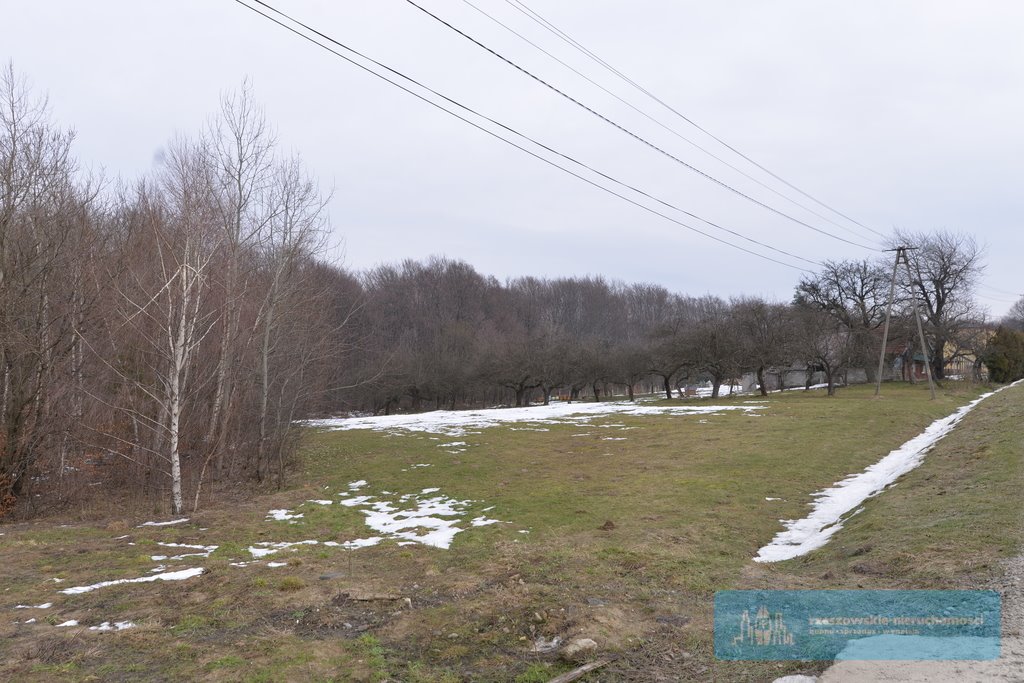 Działka budowlana na sprzedaż Hermanowa  8 000m2 Foto 1