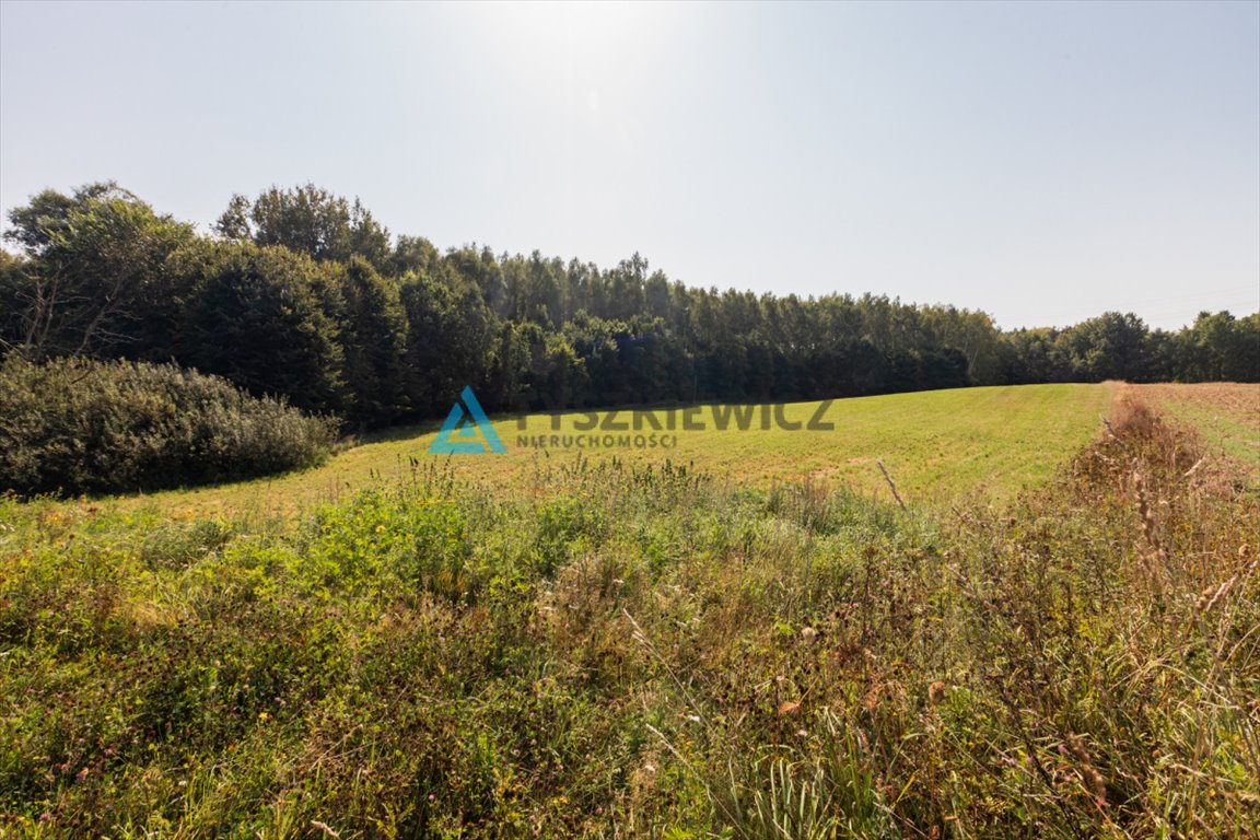 Działka rolna na sprzedaż Ełganowo, Macierzy Szkolnej  6 500m2 Foto 8