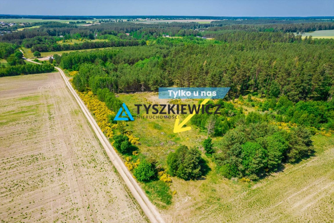 Działka rolna na sprzedaż Dębnica Kaszubska, Piaskowa  10 428m2 Foto 1