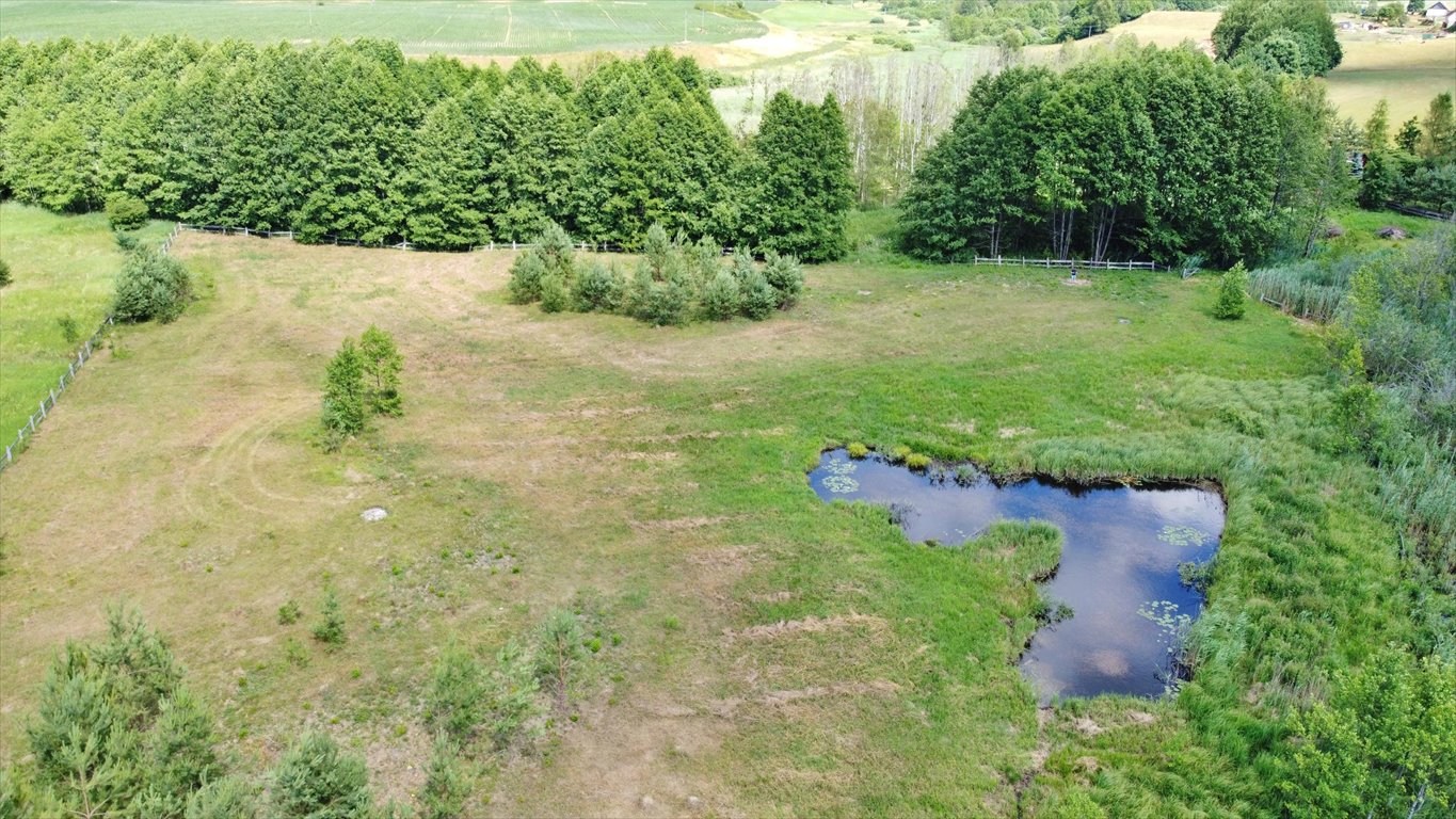 Działka rolna na sprzedaż Elganowo  10 700m2 Foto 8