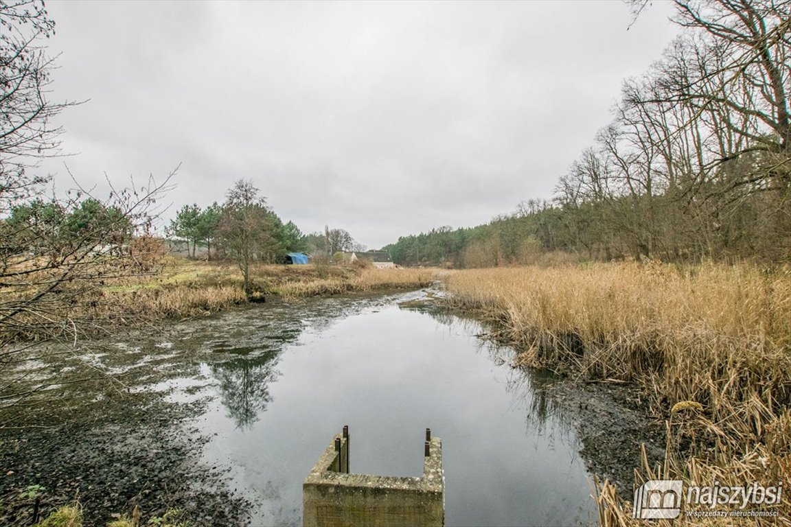 Lokal użytkowy na sprzedaż Bledzew  440m2 Foto 17