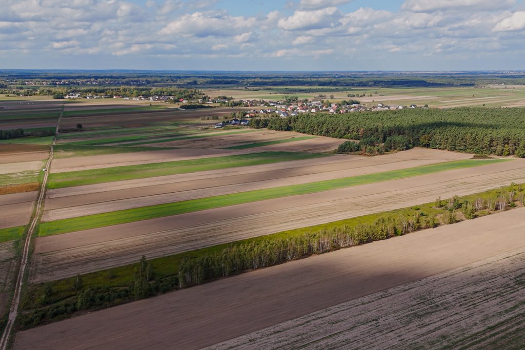 Działka inwestycyjna na sprzedaż Emilianów  11 039m2 Foto 3