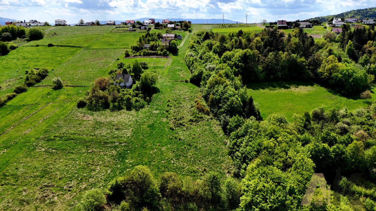 Działka rolno-leśna 7 900 m² z potencjałem w Trzetrzewinie Trzetrzewina  7 900m2 Foto 1