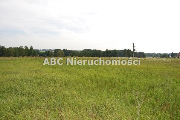 Działka budowlana na sprzedaż Zalesie  1 038m2 Foto 7