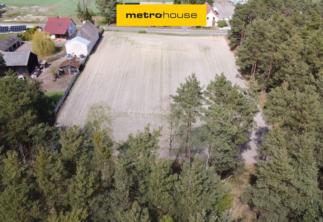 Sprzedam działkę 4400 m² z warunkami zabudowy i lasem Nowy Jaromierz  4 400m2 Foto 1