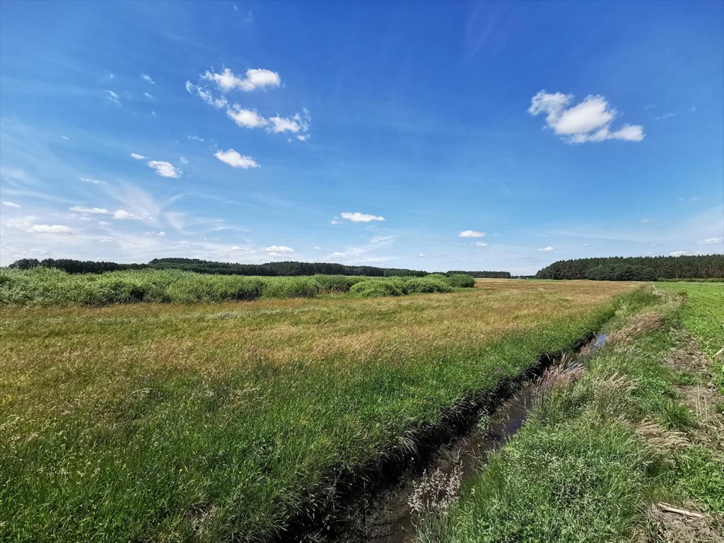 Działka rolna na sprzedaż Kleszczyna  27 800m2 Foto 9