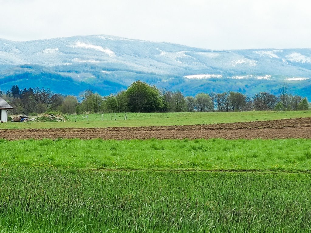 Dom na sprzedaż Domaszków  100m2 Foto 4