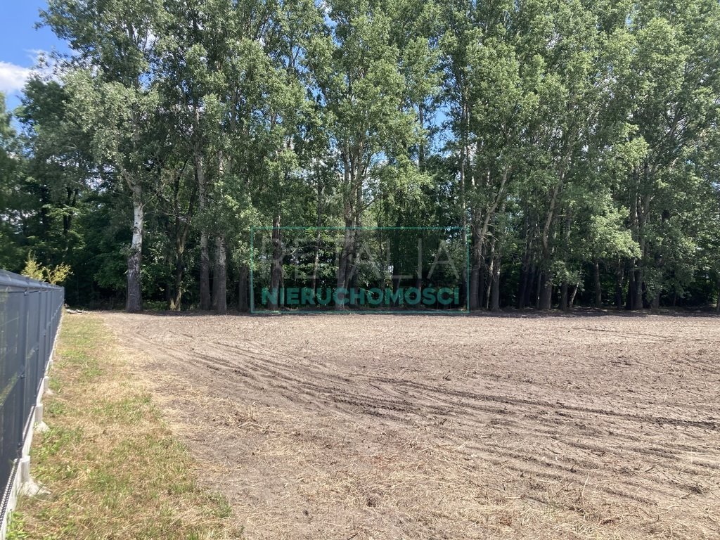 Działka 4 354 m² z planem zabudowy w Baranowie Baranów  4 354m2 Foto 1