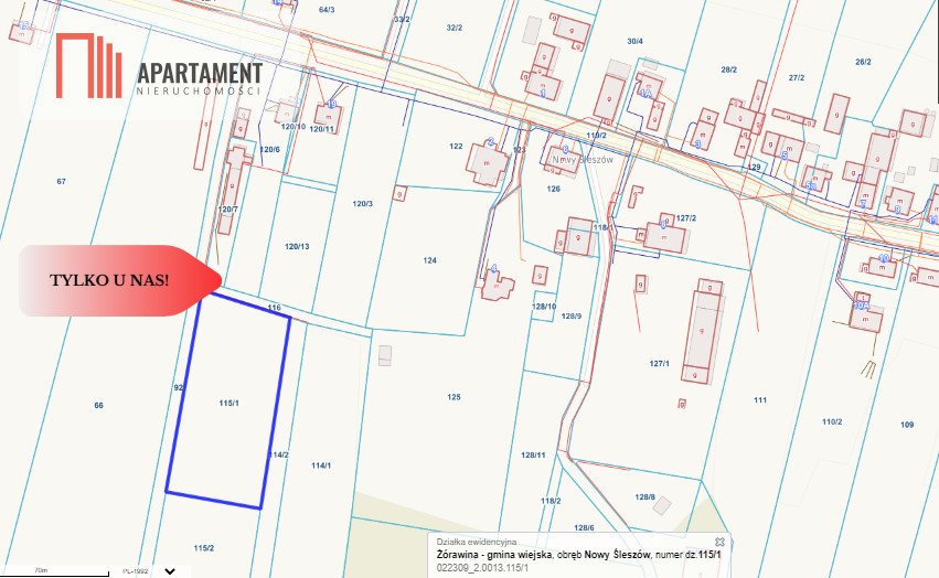 Działka gospodarstwo rolne na sprzedaż Nowy Śleszów  5 200m2 Foto 2