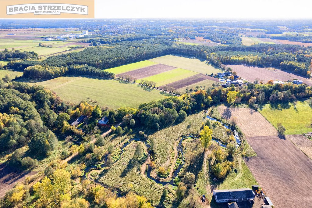 Działka budowlana na sprzedaż Gutarzewo  45 500m2 Foto 6