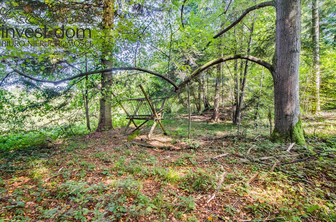 Działka leśna na sprzedaż Wyskitna  7 200m2 Foto 1