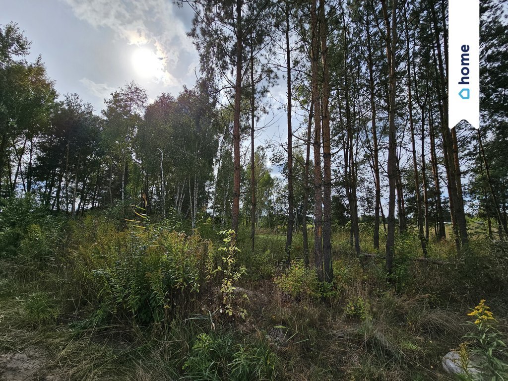 Działka inna na sprzedaż Sobieńki  1 270m2 Foto 18