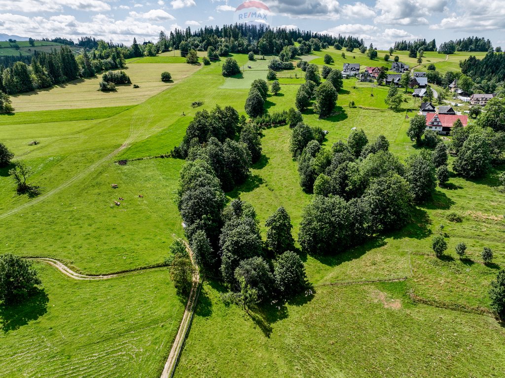 Działka rolna na sprzedaż Leśnica  2 100m2 Foto 6